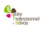 logo_lycee_pro_bavay